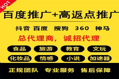 低成本高回报：百度竞价代理成功案例分析